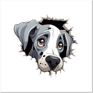 Baby Great Dane Dog Peeking Posters and Art